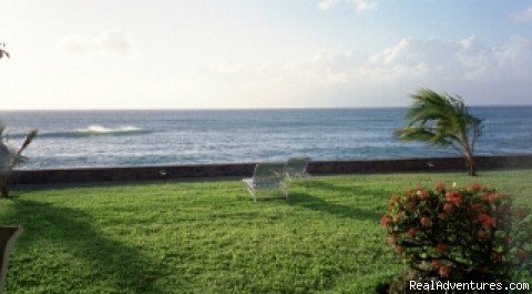 Maui Condo Rental Oceanfront | Image #3/20 | 