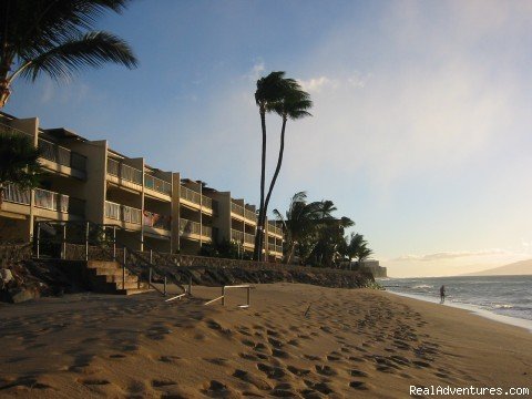 Maui Condo Rental Oceanfront | Image #4/20 | 