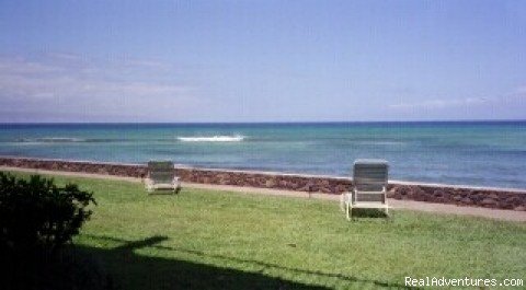 Maui Condo Rental Oceanfront | Image #15/20 | 