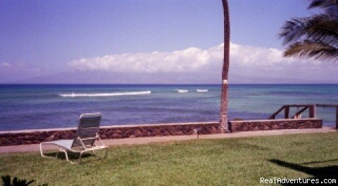 Maui Condo Rental Oceanfront | Image #17/20 | 