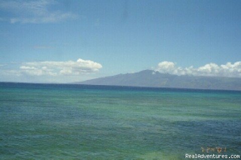 Maui Condo Rental Oceanfront | Image #20/20 | 