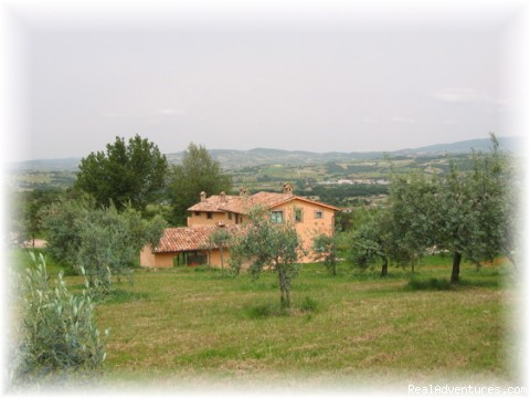 Self catering apartment in villa with pool jacuzzi: