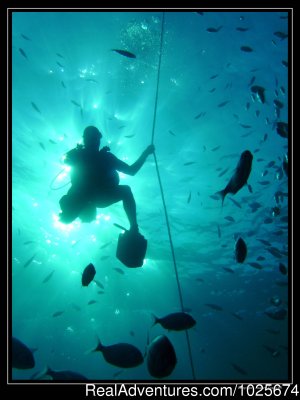 Divewise | San Giljan, Malta Scuba Diving & Snorkeling | Great Vacations & Exciting Destinations