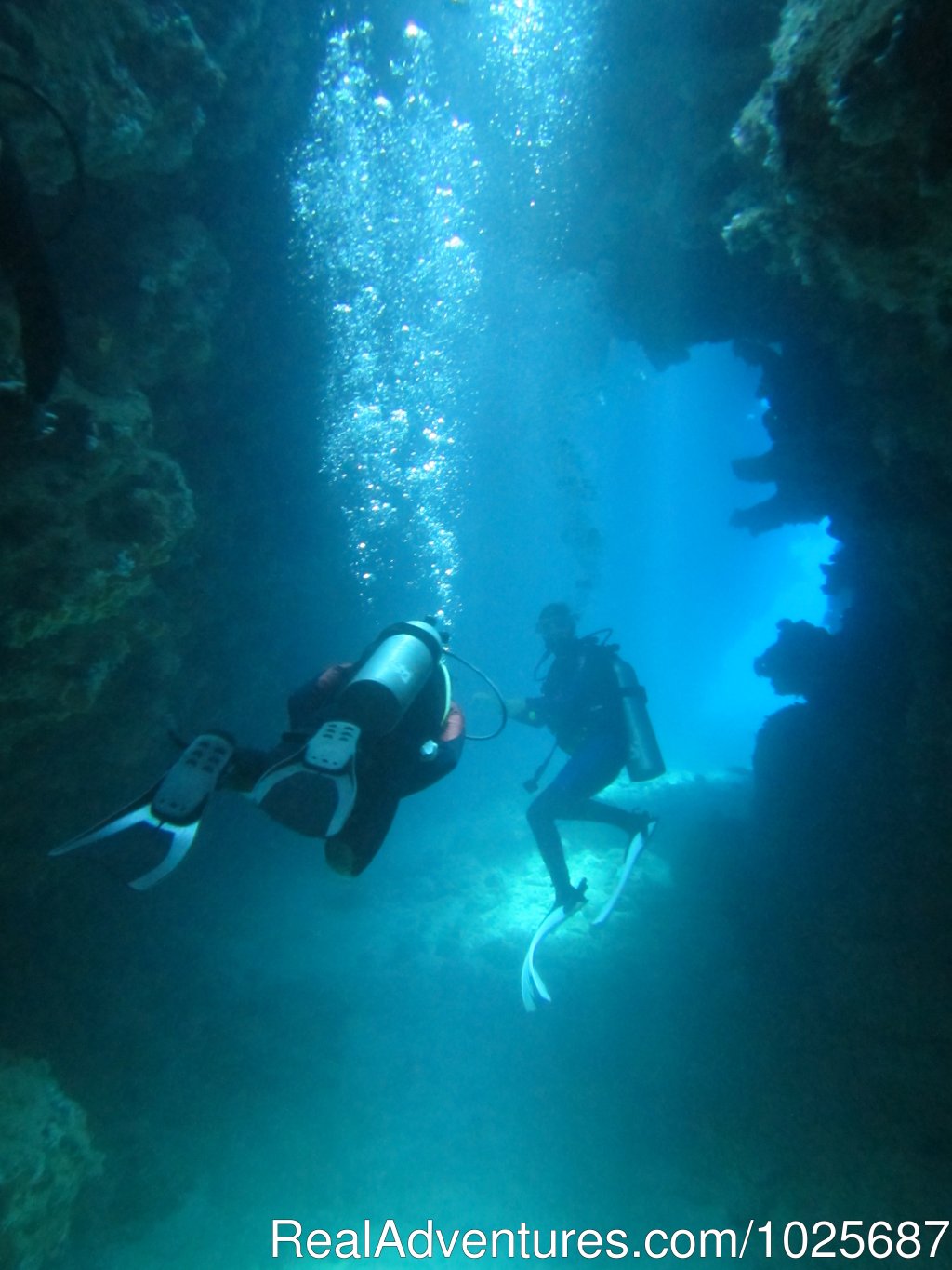 Diving | Scuba Dive at Tiliva Resort in Kadavu Fiji | Image #5/20 | 