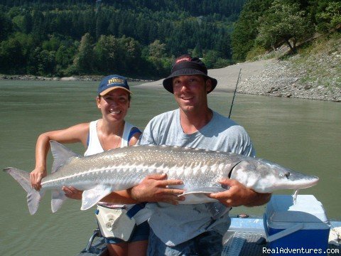 A 65 lb. Fraser river White Sturgeon! | Adventures with Cascade Fishing Charters | Chilliwack, British Columbia  | Fishing Trips | Image #1/1 | 