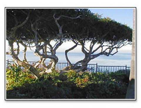 Most romantic city in Southern Clfiornia . . .Dana Point