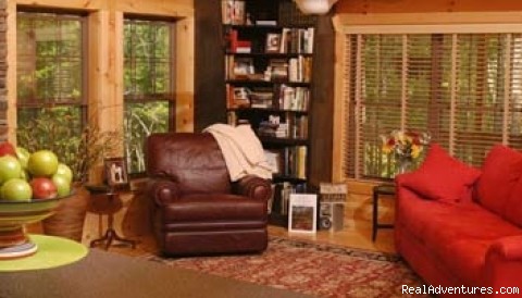 Brand New Luxury Log Cabins in Blue Ridge Mountain: Curl up with a good book