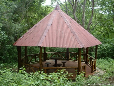 Estrella de Paraiso Private Nature Reserve: Costa Rican 'Rancho' in yard