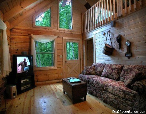 TV Room | Hidden Falls Cabin-romantic and Secluded | Topton, North Carolina  | Vacation Rentals | Image #1/4 | 