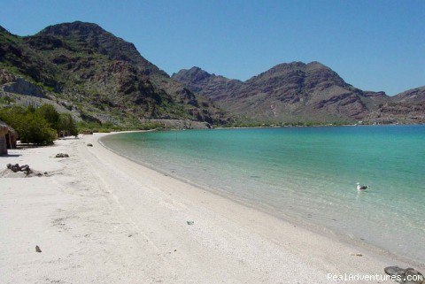 Tour Mexico's Baja Peninsula by Motorcycle White Sandy Beaches of Bahia Concepcion