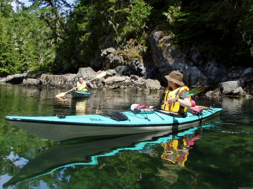 Quiet water in the lagoon | Best Sea Kayaking Adventures on Vancouver Island | Image #6/15 | 