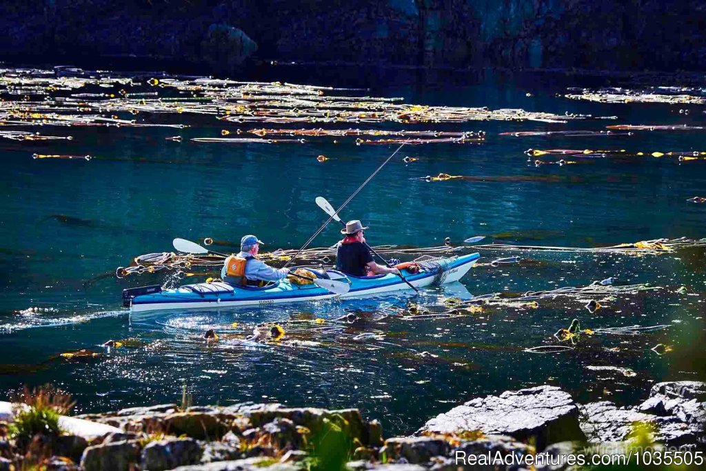 Paddling through the kelp forest | Best Sea Kayaking Adventures on Vancouver Island | Image #10/15 | 