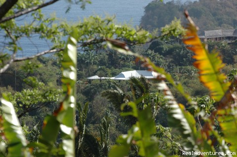 Englishman's bay,Parrot estate. Romantic adventure: Villa view