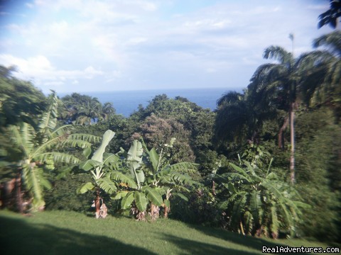 Englishman's bay,Parrot estate. Romantic adventure: Garden view out to sea