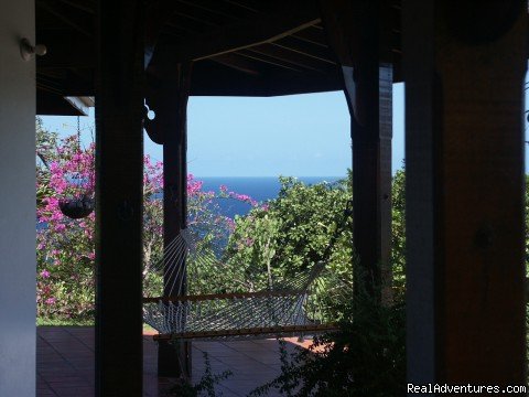 View from the villa