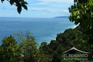 Luxury Rainforest Wildlife Lodge - Osa Peninsula | Puerto Jimenez, Costa Rica | Hotels & Resorts