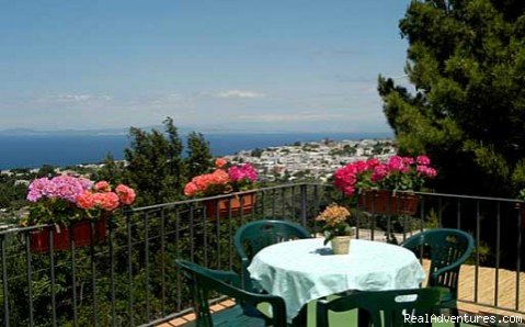 Photo #1 | Alle Ginestre Capri  Bed And Breakfast | Anacapri (Capri island), Italy | Bed & Breakfasts | Image #1/12 | 