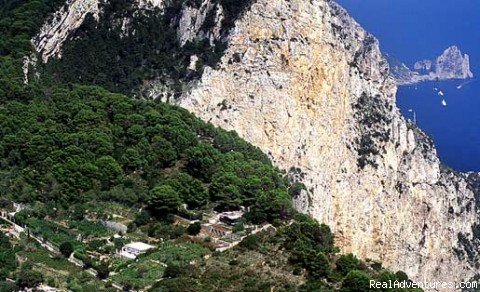 Alle Ginestre Capri  Bed And Breakfast | Image #5/12 | 
