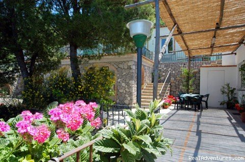 Alle Ginestre Capri  Bed And Breakfast | Image #7/12 | 