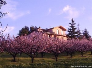 Beautiful apartments along the Chianti road | Terricciola, Italy Vacation Rentals | Great Vacations & Exciting Destinations