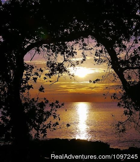 awesome sunrise from Sunrise Magic | Back To Eden Strawberry Fields Together Jamaica | Image #7/22 | 