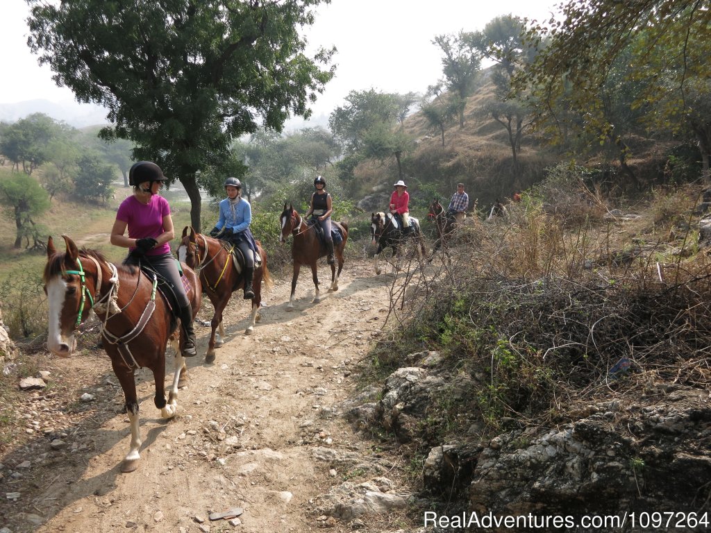 Ride through the Aravalli Mountains | Horsebacksafaris on Marwari Horses in Rajasthan | Image #5/26 | 