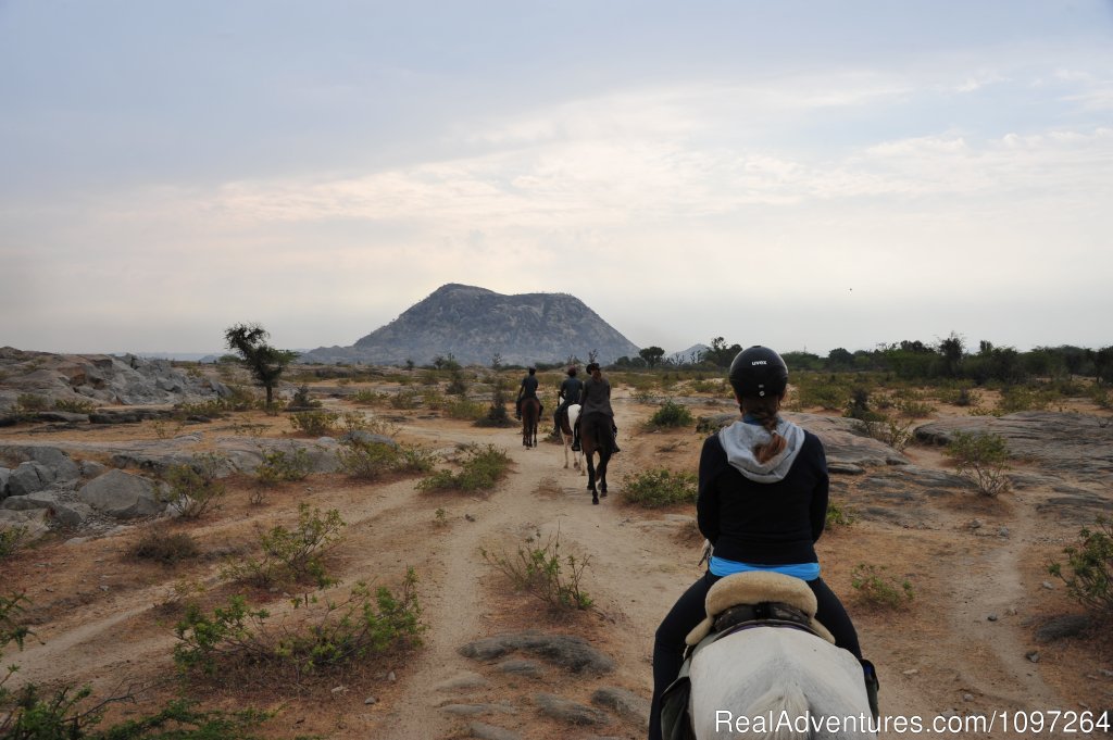 Desert Ride | Horsebacksafaris on Marwari Horses in Rajasthan | Image #6/26 | 