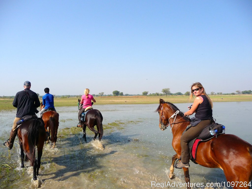 Crossing water | Horsebacksafaris on Marwari Horses in Rajasthan | Image #11/26 | 