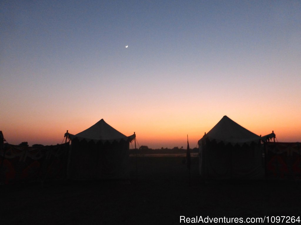 Nightfall in our safari camp | Horsebacksafaris on Marwari Horses in Rajasthan | Image #18/26 | 