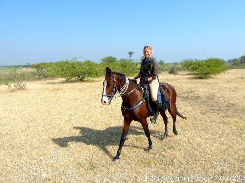 Marwari mare and rider