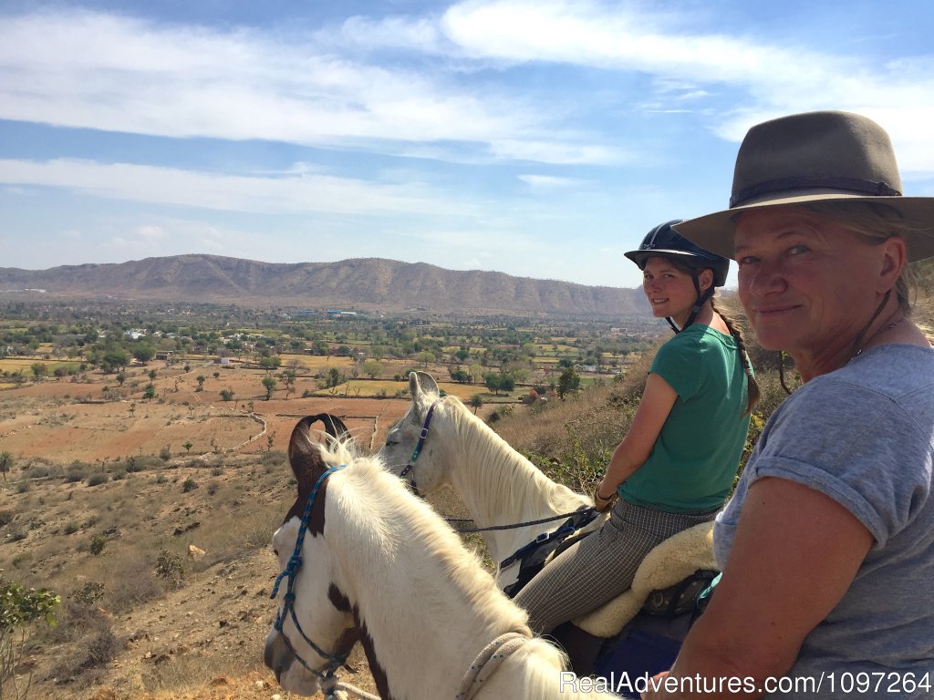 Enjoying the view | Horsebacksafaris on Marwari Horses in Rajasthan | Image #22/26 | 