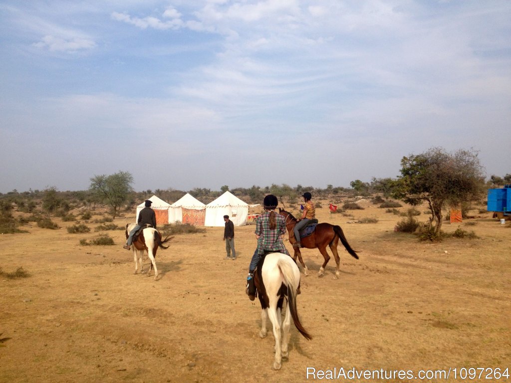 Returning to our safari camp | Horsebacksafaris on Marwari Horses in Rajasthan | Image #23/26 | 