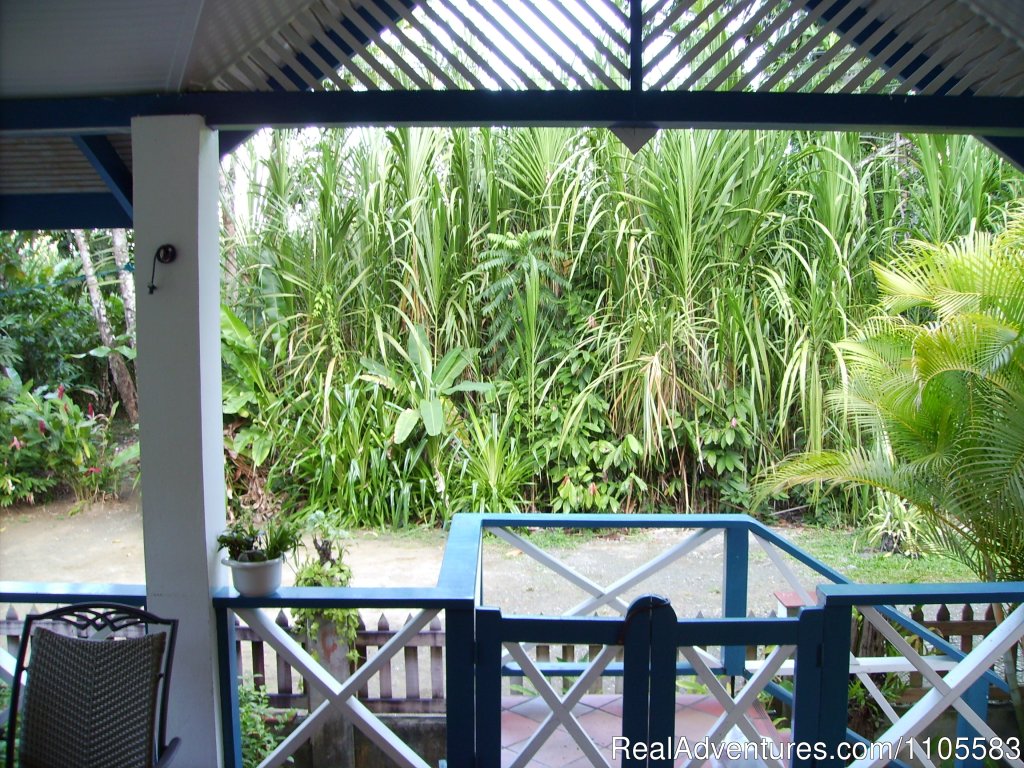Vie 3 Bedroom House | Jemas Guesthouse and  apartments | Image #3/26 | 