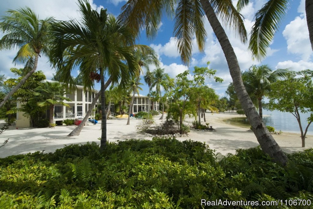 Island House Of Cayman Kai | Island Houses of Cayman Kai - Grand Cayman | Image #2/10 | 