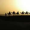 Cultural Morocco Tours, Trekking, and Biking Camels in the Sahara Desert
