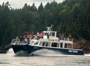 Whales and Wildlife Catamaran Style | St. Andrews, New Brunswick Whale Watching | Great Vacations & Exciting Destinations