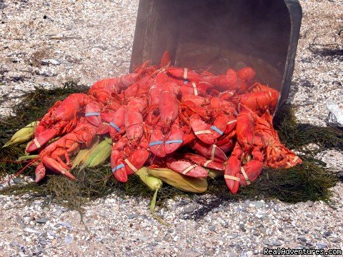All-you-can-eat lobster cookout