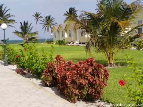Royal Caribbean Resort (RCR) Grounds | Tropical Simplicity | Image #4/10 | 