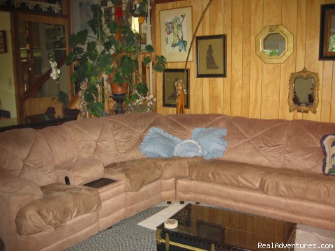 Lakemont Pines lake Vacation Rental home: Living room couches