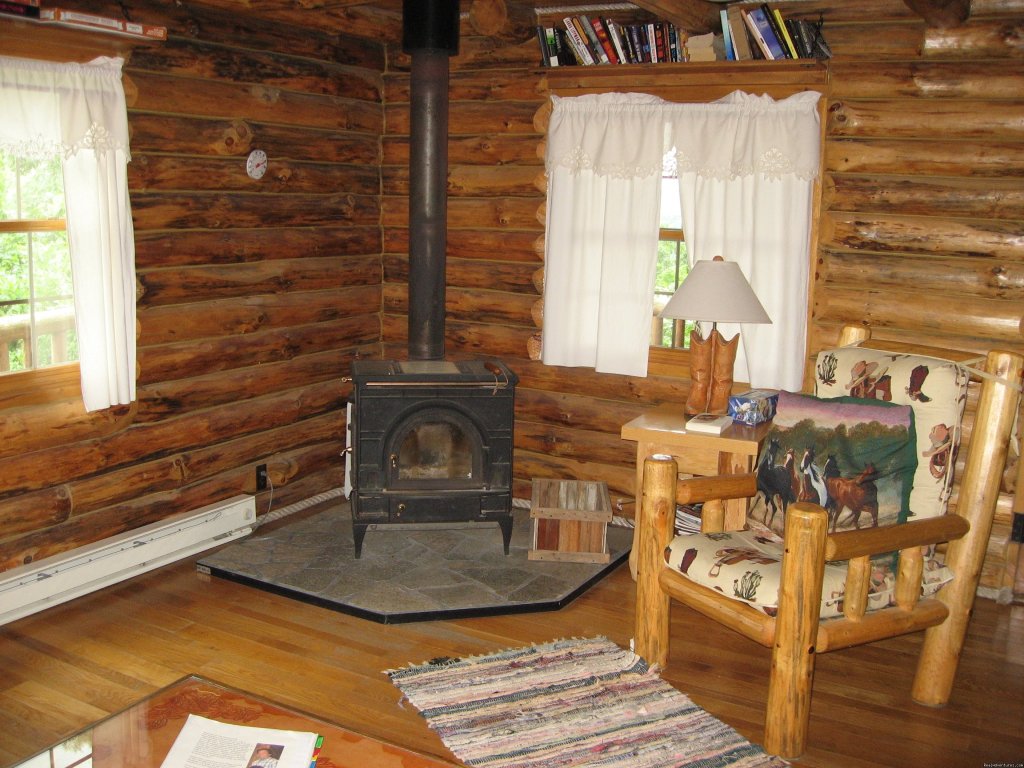 Wood burning stove in The Grandview | Where Nature Plays and Your Heart Sings | Image #4/13 | 