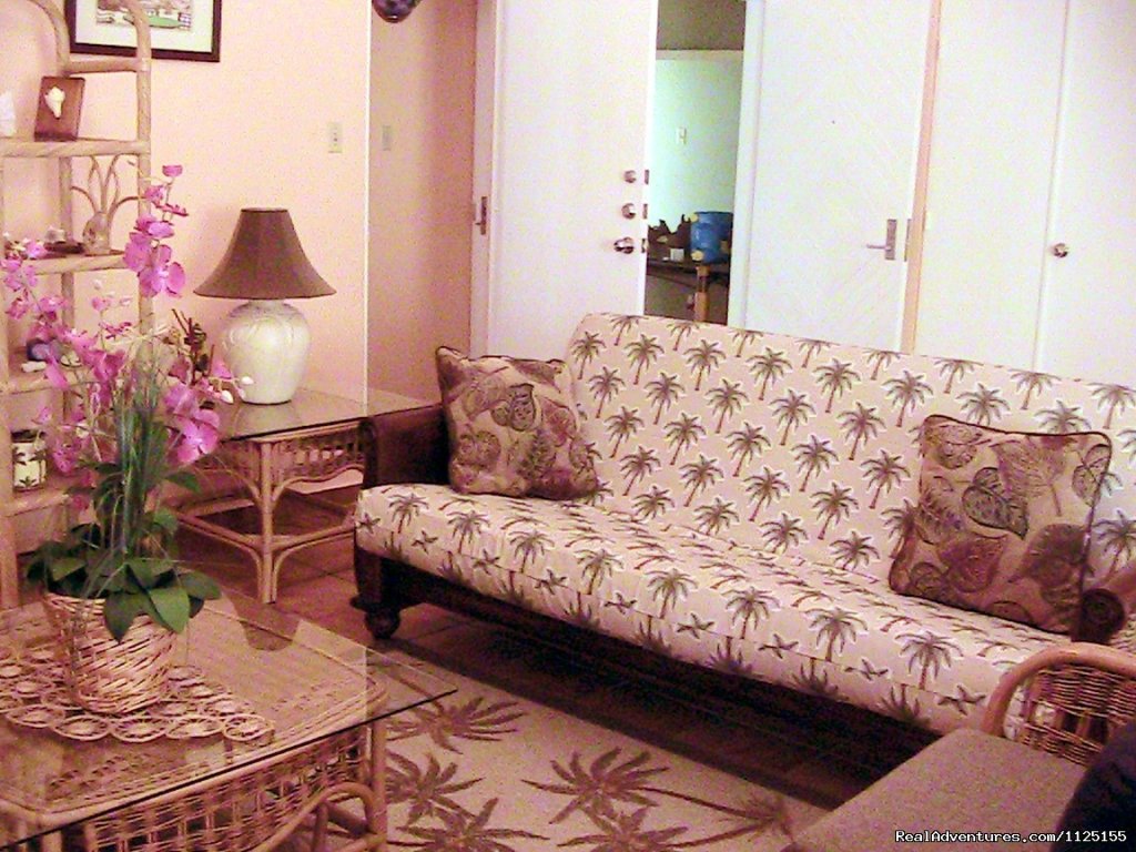 Living Room | Paradise Adventure | Image #8/11 | 