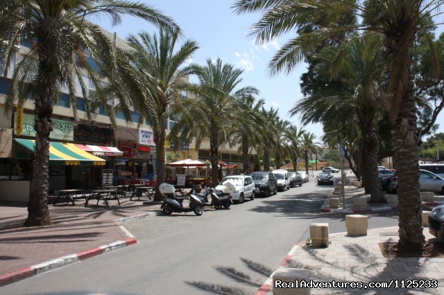 Israel Vacation Homes: Living room area (terrace)