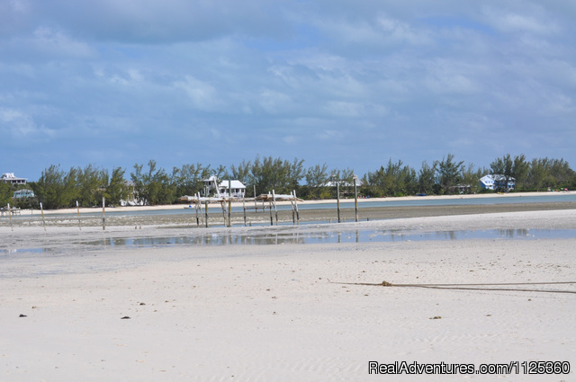 Bonefishing or snorkeling at your doorstep!: Sunset at Cocobay