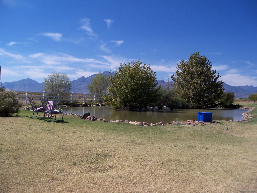 Duck Pond | Come to the West Rusty's RV Ranch | Image #7/8 | 