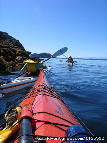 Sea Kayak Tours Desolation Sound, British Columbia Powell River Sea Kayak - in Toba Inlet