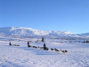 Dogsledding in remote nationalpark | Steinkjer, Norway Dog Sledding | Great Vacations & Exciting Destinations
