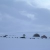 Fishingcamp Dogsledding in remote nationalpark, Steinkjer, Norway Dog Sledding Fishingcamp Dogsledding in remote nationalpark, Steinkjer, Norway Dog Sledding