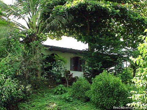 Casa Bumerango | Quepos Vacation Home Rentals | Quepos, Costa Rica | Vacation Rentals | Image #1/2 | 