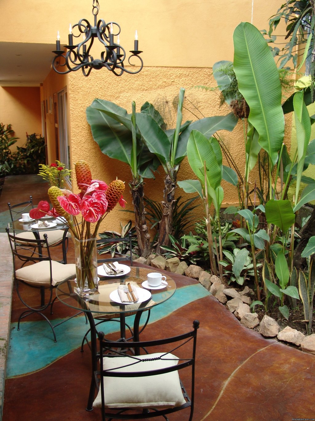 Breakfast Patio | Hotel  Casa 69 | San Jose, Costa Rica | Bed & Breakfasts | Image #1/9 | 