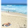 Spacious 1,600sq ft 2bed/2bath Steps from Beach